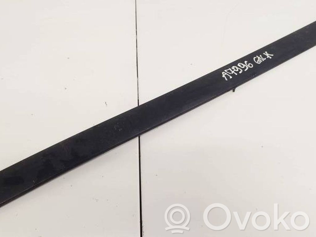 Skoda Octavia Mk2 (1Z) Rivestimento portiera posteriore (modanatura)