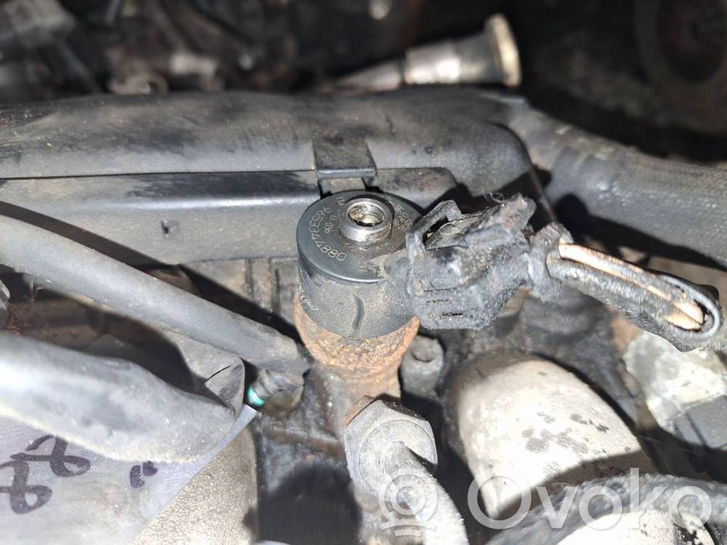 Inyector de combustible   0445110036,9653344880,0445110036,9653344880