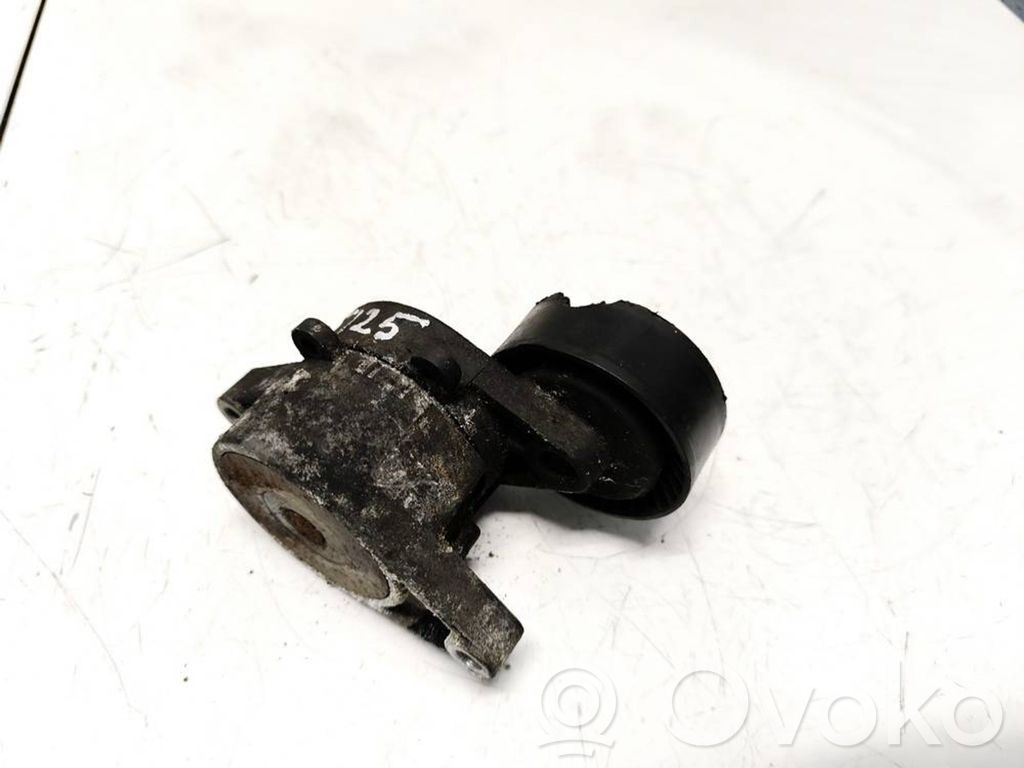 Tendicinghia generatore/alternatore   F2260082,F2260082