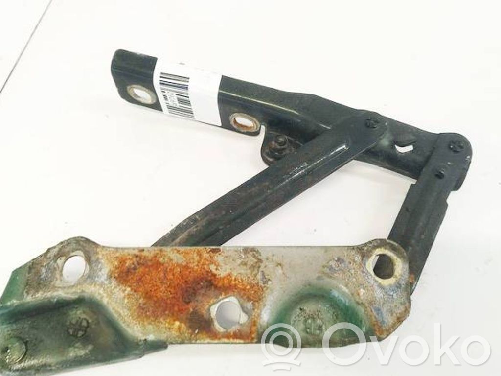 Cerniere del vano motore/cofano