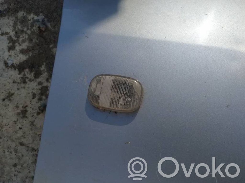 Front fender indicator light