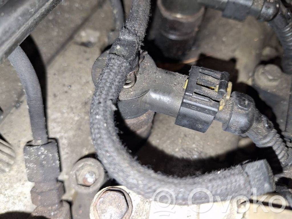 Injector combustibil   0445110183,0445110183