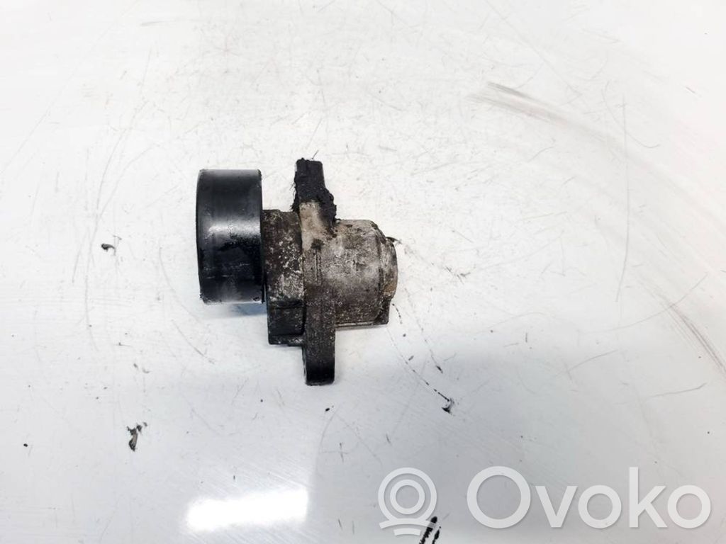 Renault Scenic I Întinzător curea generator/alternator 