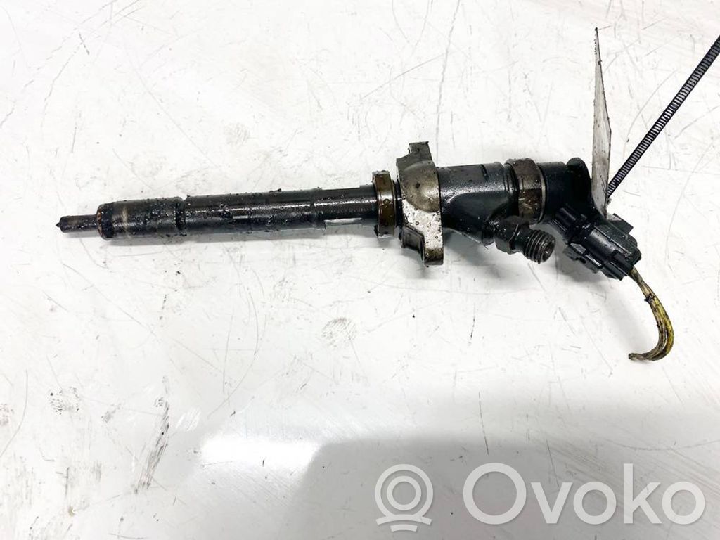 Injector combustibil   0445110297,0445110297