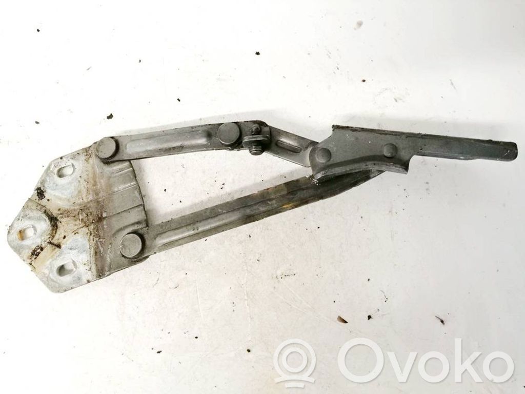 Volkswagen Touran I Cerniere del vano motore/cofano