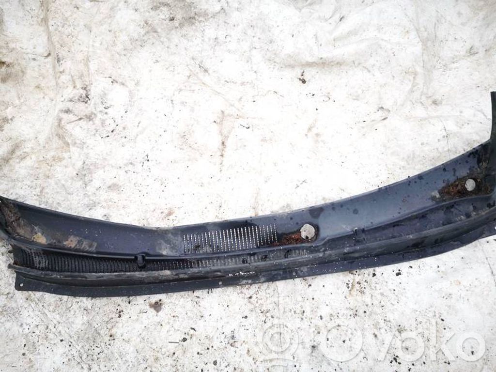 Hyundai Santa Fe Rivestimento del tergicristallo