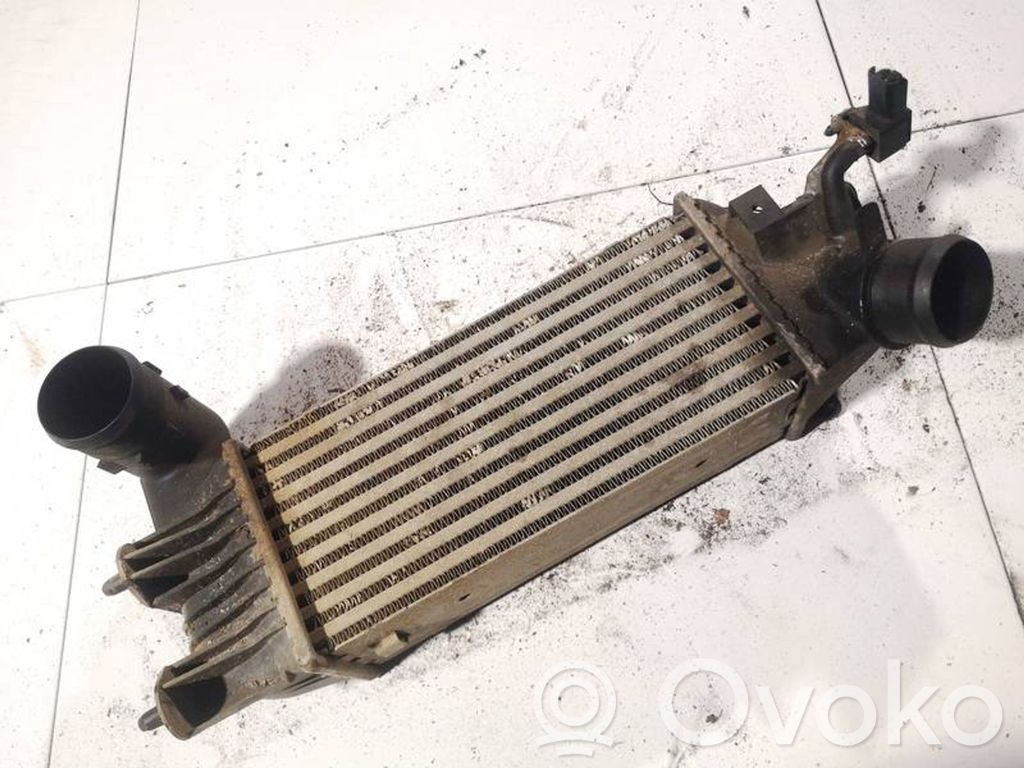 Peugeot 406 Tubo flessibile intercooler 
