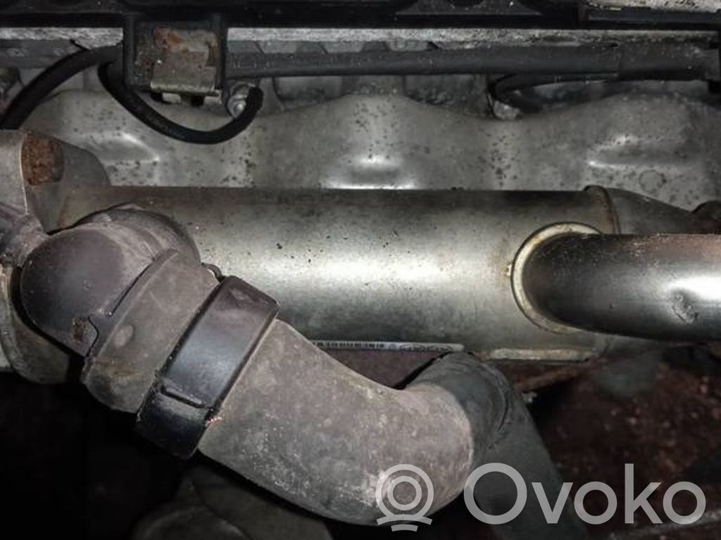 Citroen C5 Valvola di raffreddamento EGR 