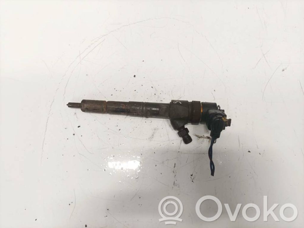 Injector combustibil   0445110243,0445110243