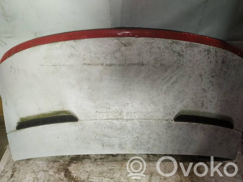 Capotă motor   BALTAS,BALTAS