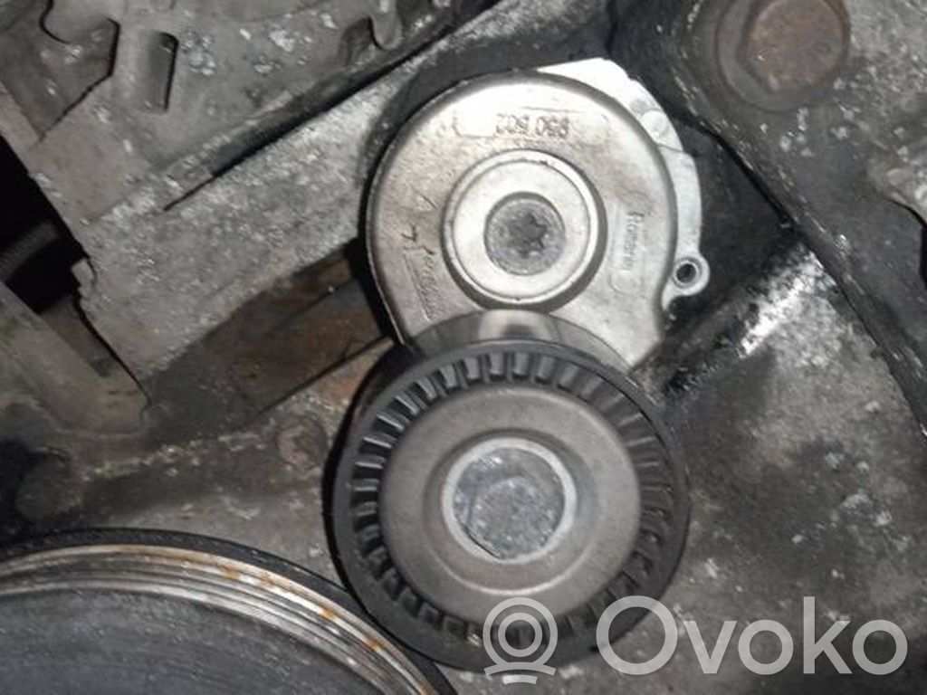 Tensor de correa del alternador   950502,950502
