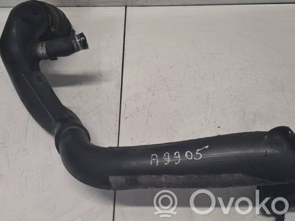 Peugeot 406 Manguera/tubo del intercooler