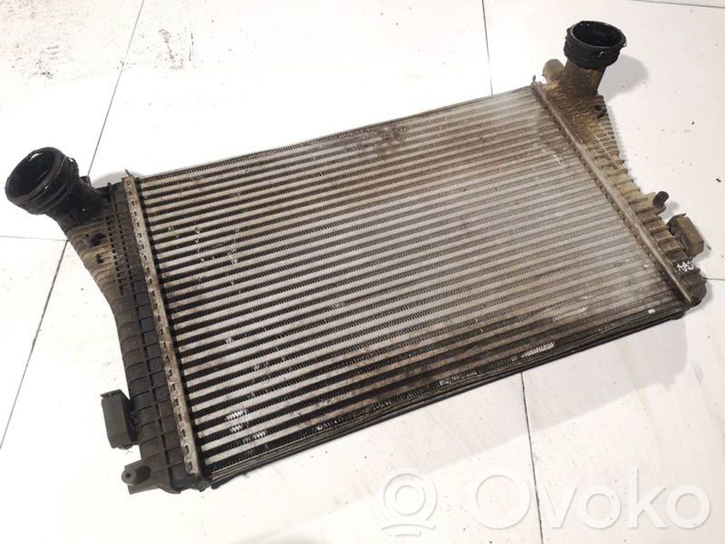 Seat Toledo III (5P) Radiatore intercooler