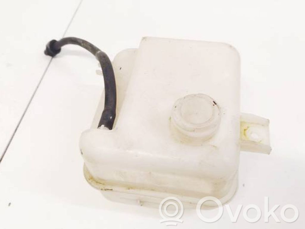 KIA Sportage Serbatoio di compensazione del liquido refrigerante/vaschetta