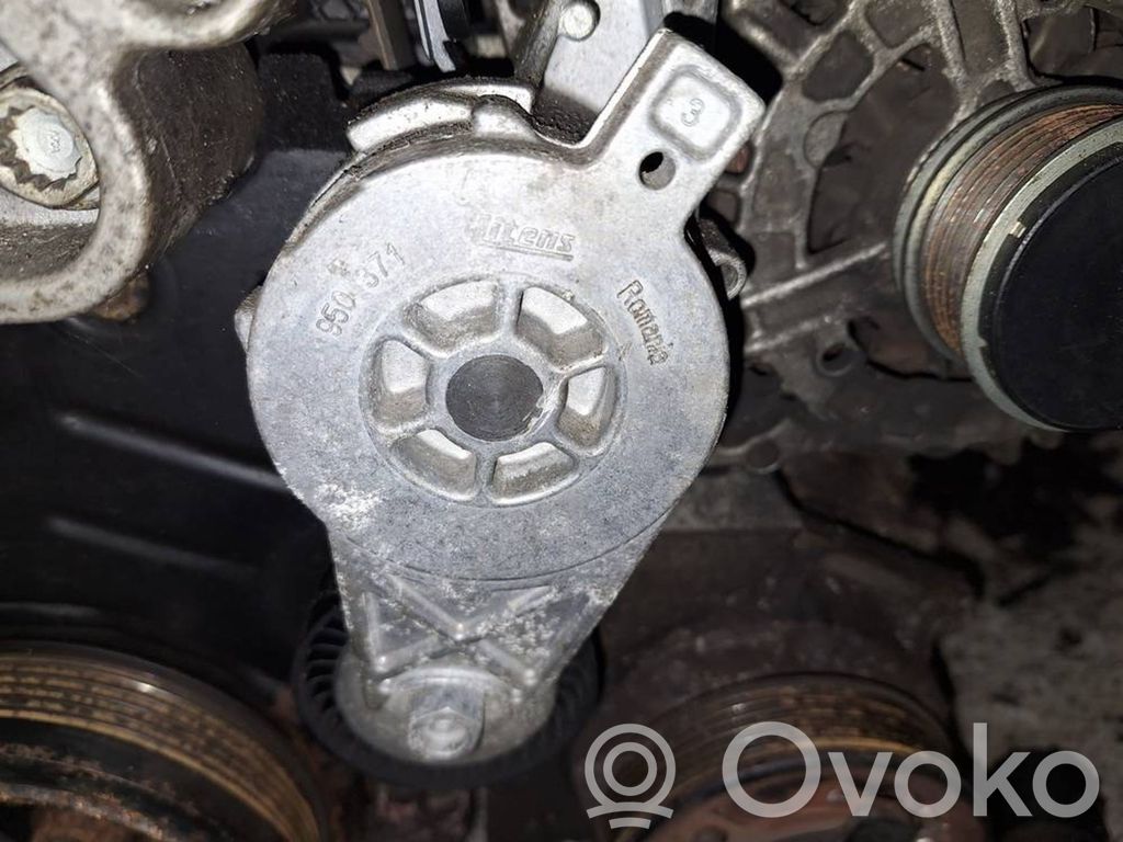 Volkswagen PASSAT B6 Tendicinghia generatore/alternatore 
