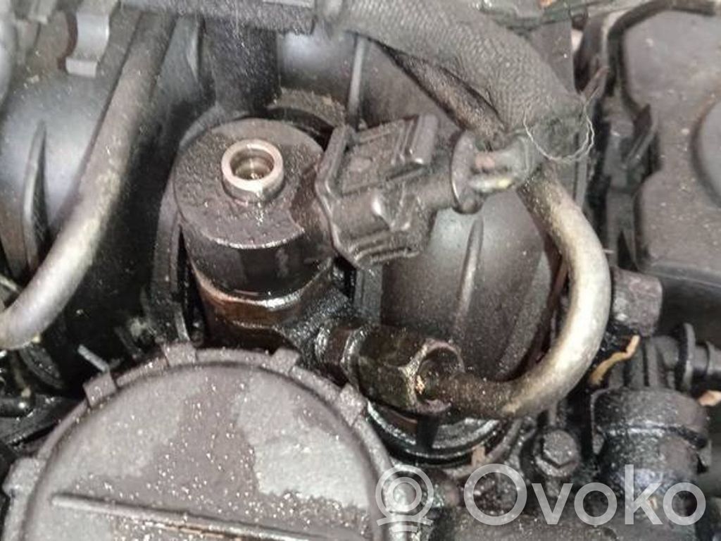 Inyector de combustible   0445110239,0445110239