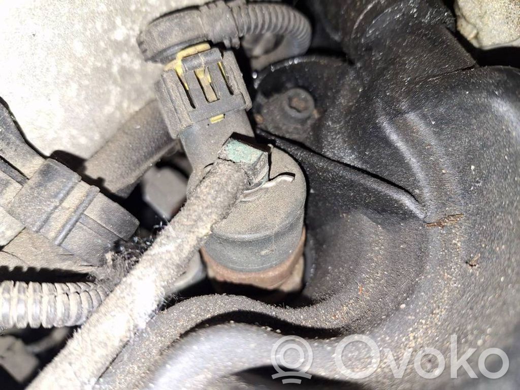Inyector de combustible   0445110276,0445110276
