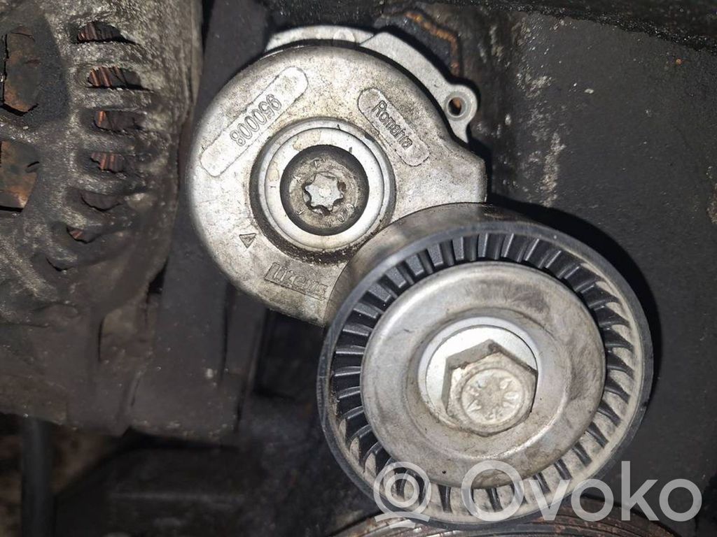 Fiat Punto (188) Tendicinghia generatore/alternatore 