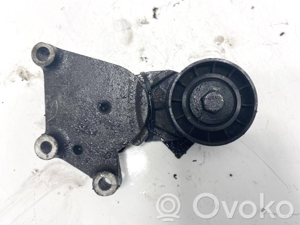 Citroen C4 I Picasso Tendicinghia generatore/alternatore 