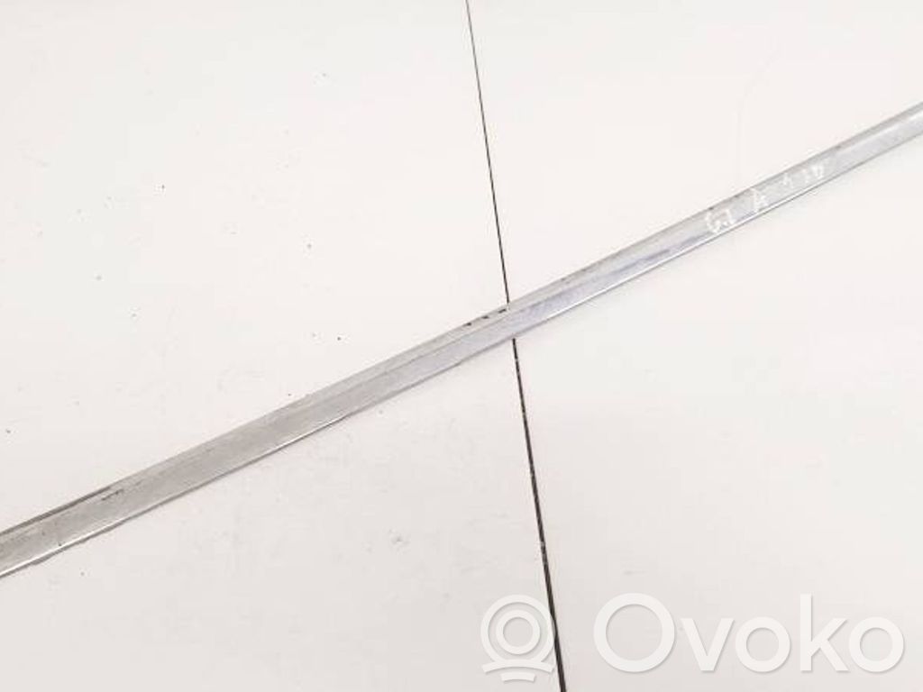 Volkswagen PASSAT B6 Ornament geam ușă spate 
