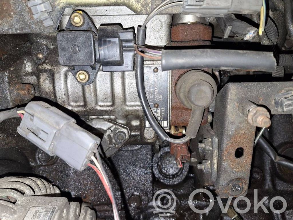 Bomba de alta presión de inyección de combustible   965005020,02D00338,02D00338,965005020