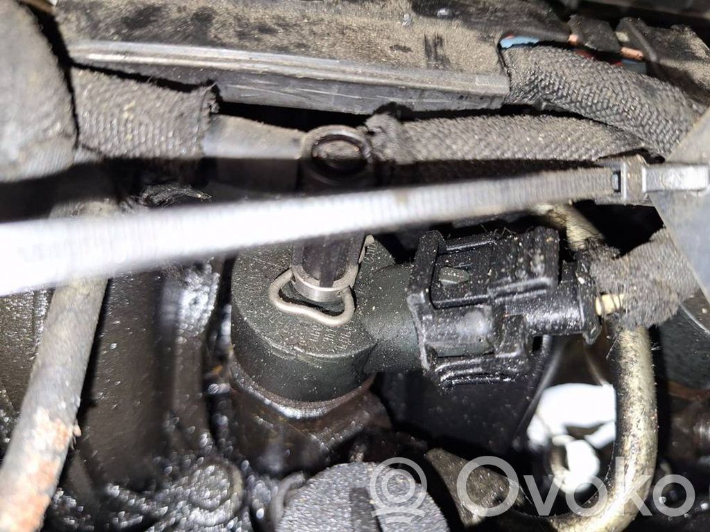 Inyector de combustible   0445110239,0445110239