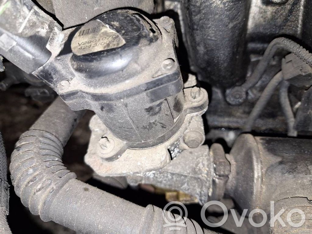 Válvula EGR   V29010703,V29010703