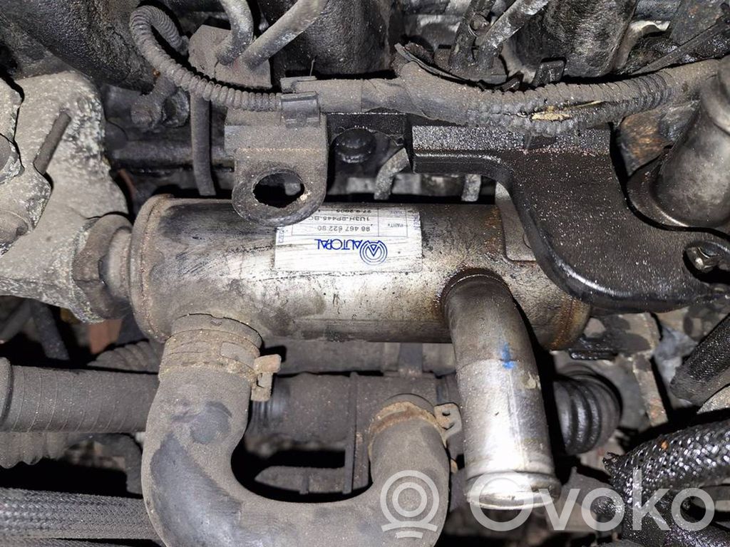 Peugeot 307 Valvola di raffreddamento EGR