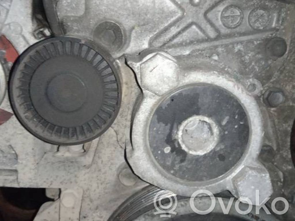 Toyota Avensis T270 Tendicinghia generatore/alternatore 