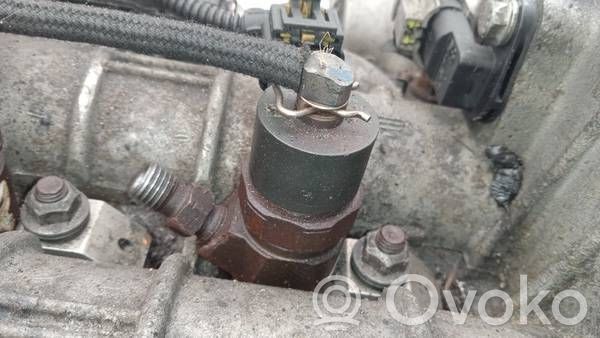 Inyector de combustible   0445110213,0445110213