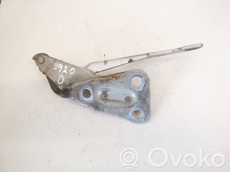 Opel Astra G Balamale capotă 