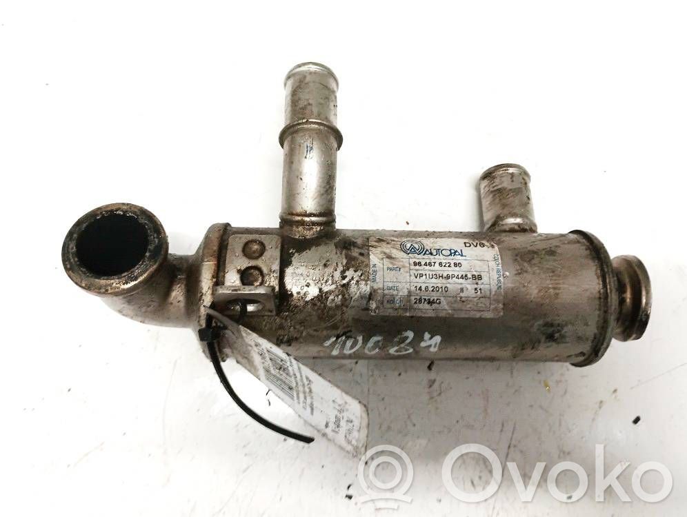 Citroen Xsara Picasso Răcitor supapă EGR 