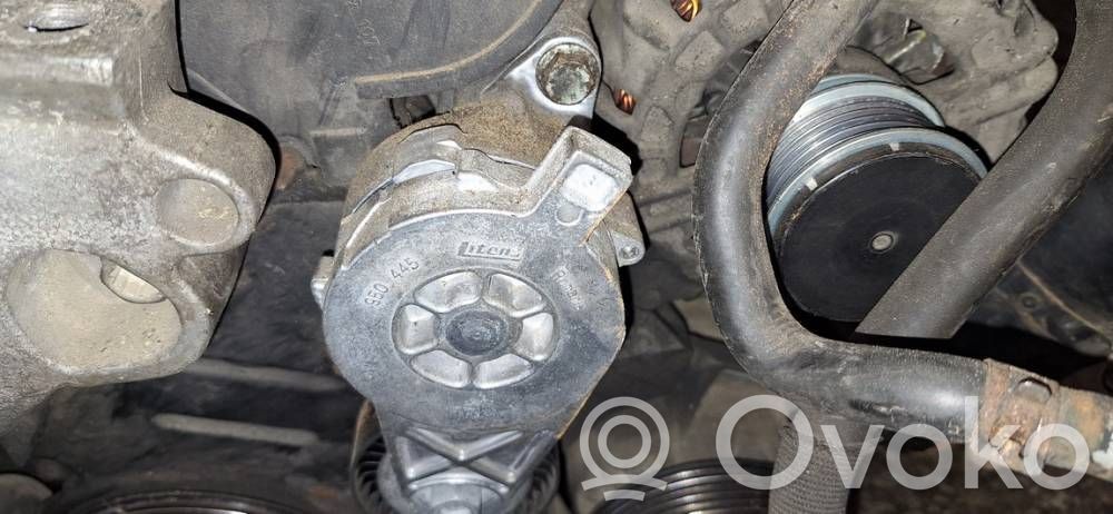 Volkswagen Touran I Tendicinghia generatore/alternatore 