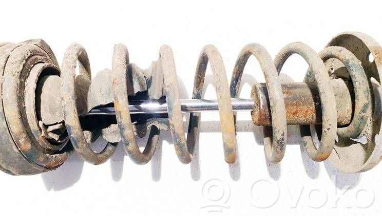 Muelle espiral trasero