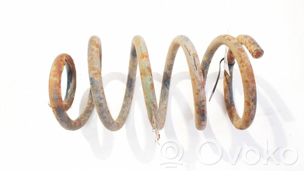 Muelle espiral trasero