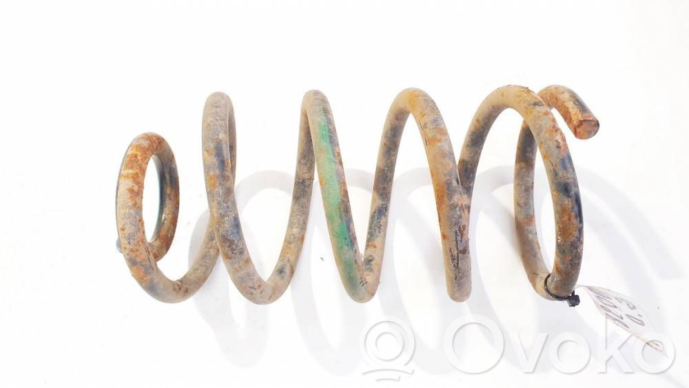 Muelle espiral trasero