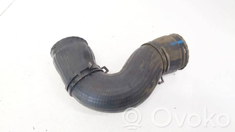 Audi A3 S3 8L Tubo flessibile intercooler 