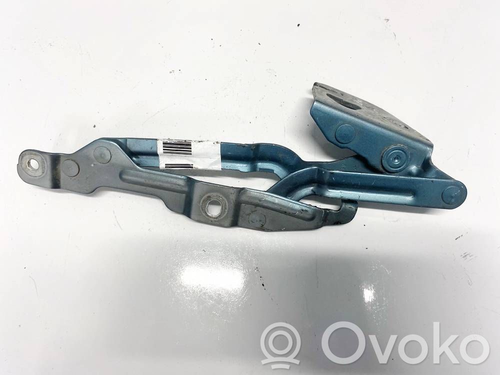Tailgate/trunk/boot hinge   220100,220100