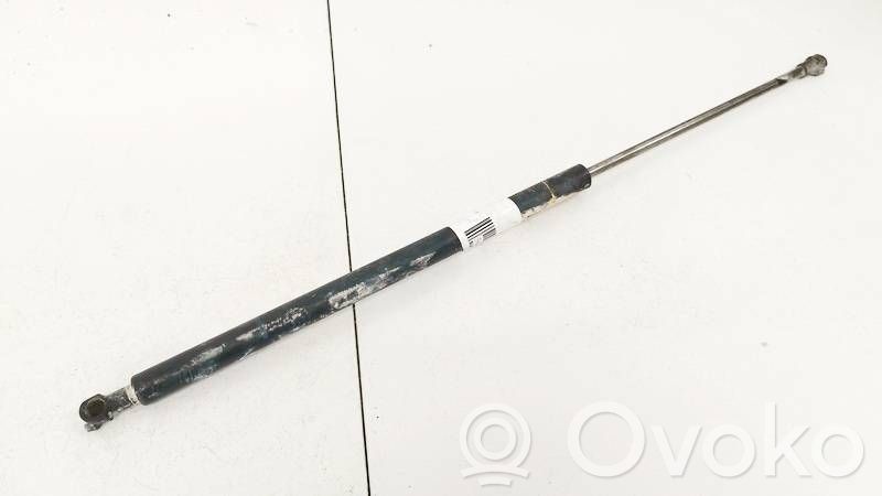 Peugeot 206 Vérin, capot-moteur