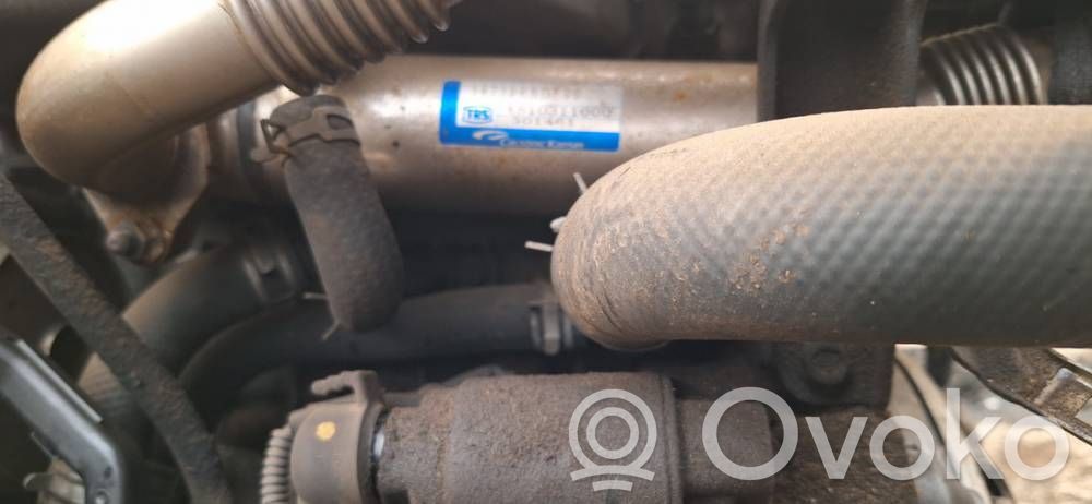 Honda Accord Răcitor supapă EGR 