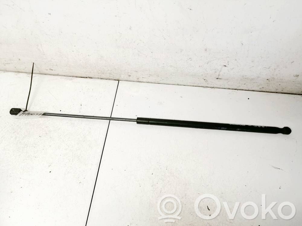 Audi A4 S4 B7 8E 8H Bagāžnieka amortizators 