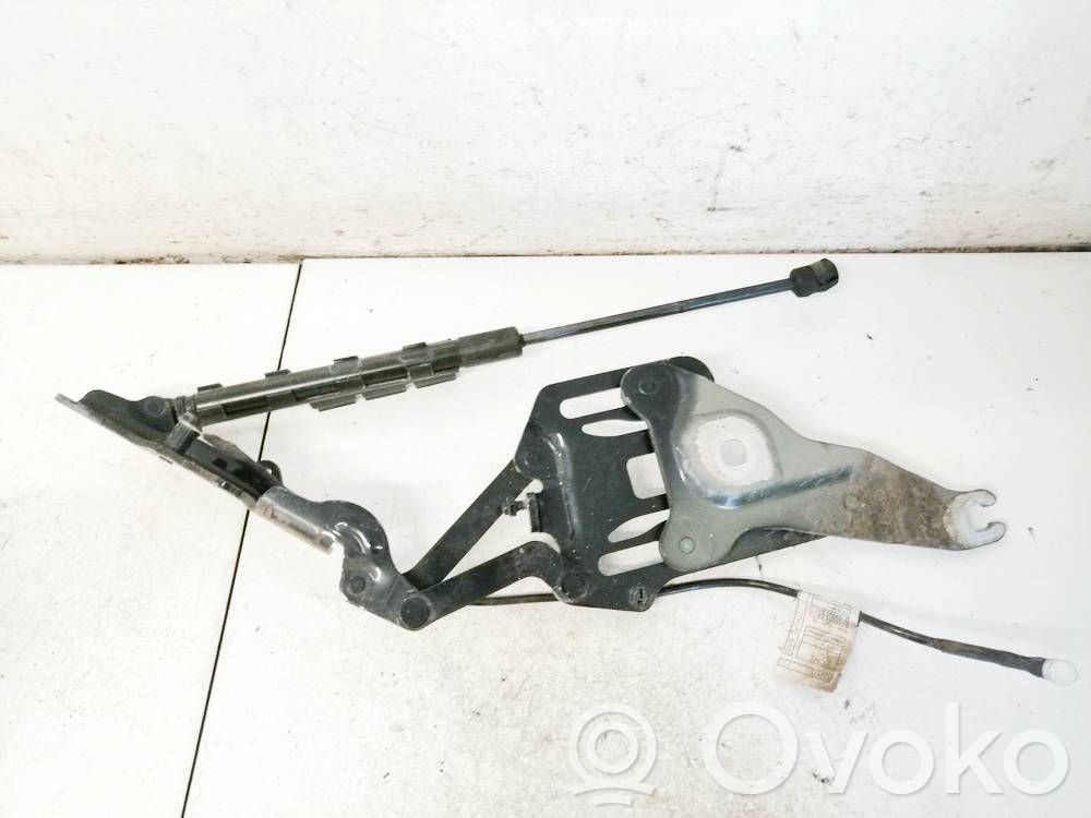 BMW X5 E70 Balamale capotă 
