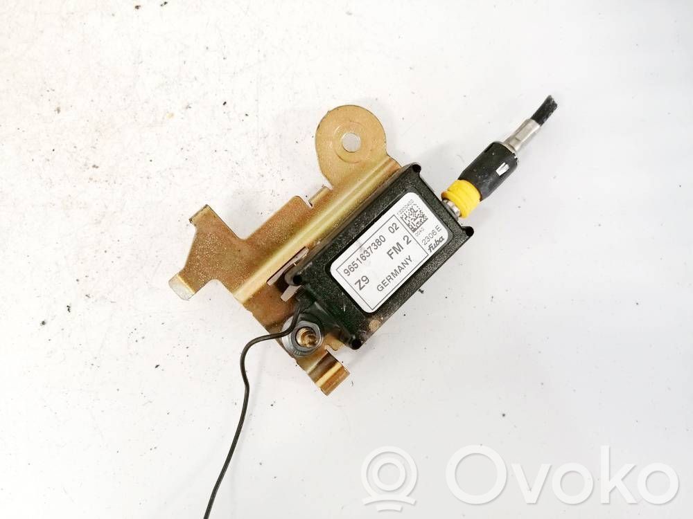 Peugeot 607 Unitate control antenă 