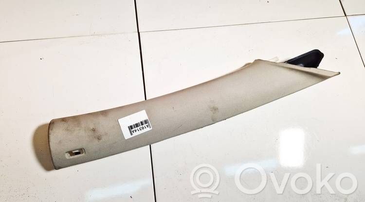 Volkswagen PASSAT B6 Rivestimento montante (C)