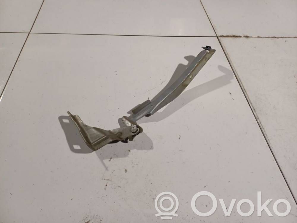 Tailgate/trunk/boot hinge