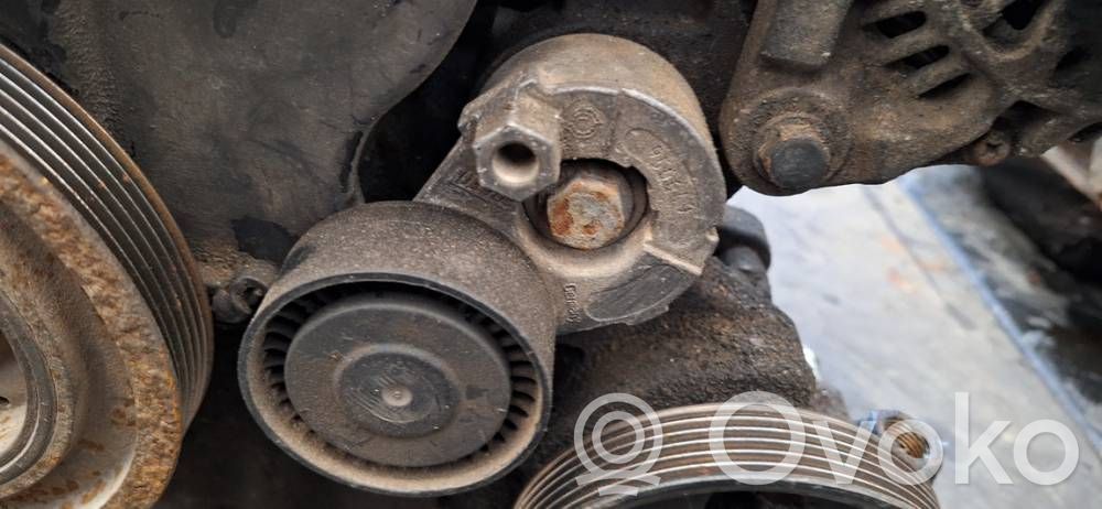 Renault Kangoo I Tensor de correa del alternador 