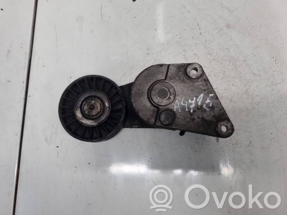Peugeot 406 Tendicinghia generatore/alternatore 