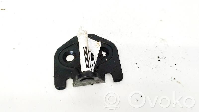 Ford Focus C-MAX Bridă/cârlig închidere ușă față 