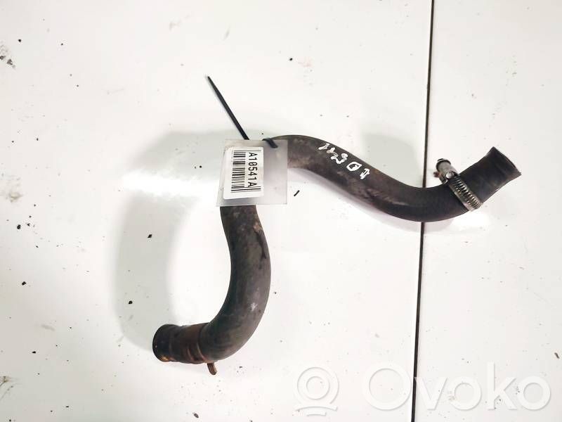 Engine coolant pipe/hose