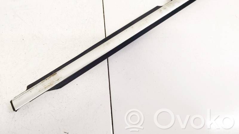 Volkswagen Tiguan Ornament geam ușă spate 